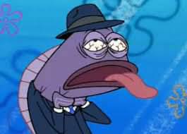 Pakan Kucing Premium